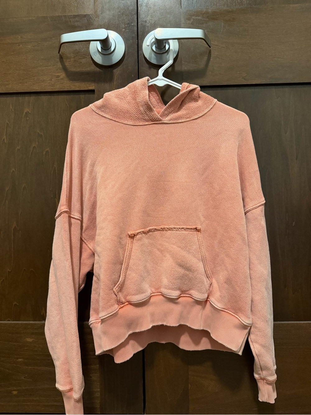 American Eagle Outfitters Dusty Rose Hooded Sweatshirt